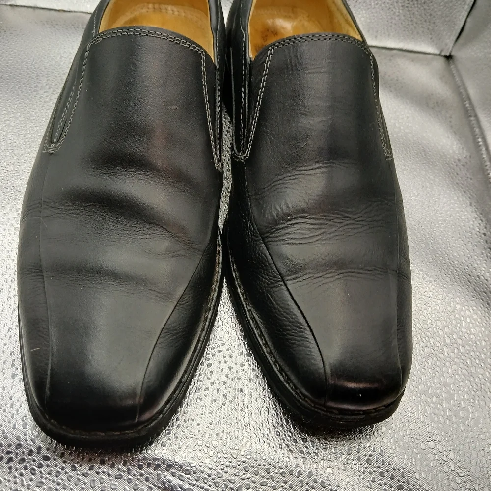 Sandro Moscoloni step out
